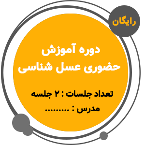 آموزش عسل شناسی